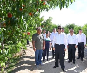 习近平在新疆石河子市考察调研