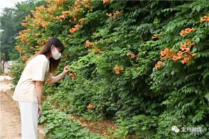 河北定州：这个社区发生了翻天覆地的变化