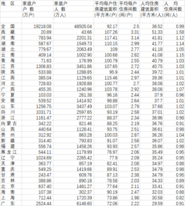 社科院副院长谈中国人买房