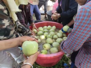 瓜果飘香！分宜的夏天带点“甜”……