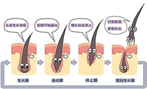 如何让头发长得更快_怎样才能让头发长得很快