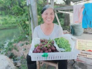 炎炎夏日，看看这个乡镇有多“甜”