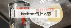 beefeater是什么酒_beefeater的历史