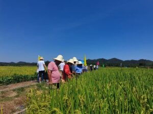 我县召开农作物新品种现场观摩培训会