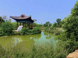 河南周口淮阳区：秋日风景美