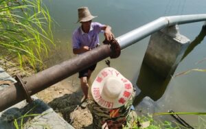 高岚乡：引水润农田，抗旱保民生