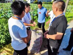 凤阳镇人大代表视察农业特色10公里产业​带