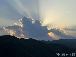 望川亭上阅今古，但有稻浪摇夏风