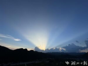 望川亭上阅今古，但有稻浪摇夏风