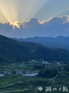 望川亭上阅今古，但有稻浪摇夏风