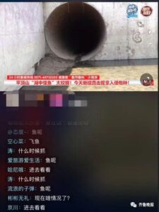 千万网友围观抓怪鱼：水抽干鱼没影