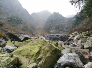 四川龙漕沟系“野生”打卡地