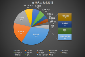 山火拉锯战中 啥是“以火灭火”？