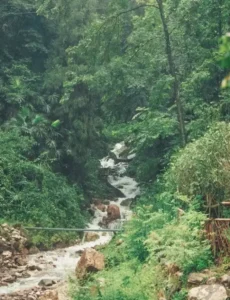 龙漕沟附近露营地游客锐减