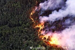 高温笼罩下的川渝大地