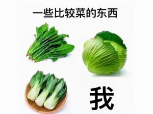 网传B站HR称核心用户都是loser