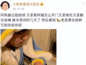 网红小狗疑遭针扎虐待 警方回应