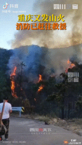 重庆山火：领导都上山参与救援