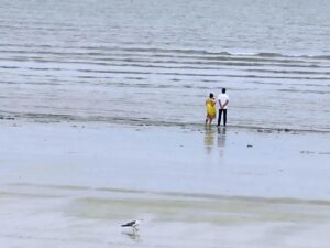 5万买海景房 乳山银滩跌成海边鹤岗