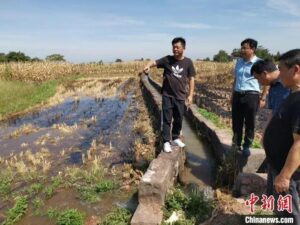 冰墩墩遇上南京高温变糊了