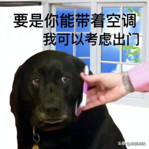 高温预报图被烫红了