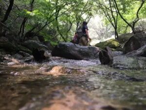 龙漕沟附近露营地游客锐减