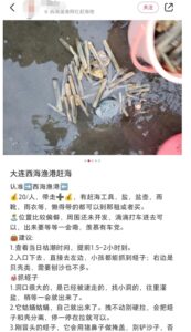 网红赶海地浮桥断裂致大量游客被困