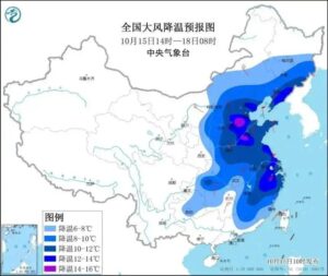 张家口霜冻来袭 农户损失惨重