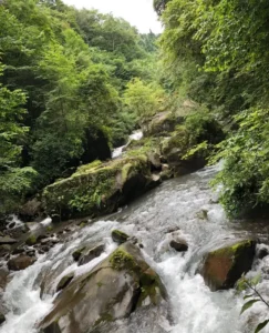 龙漕沟附近露营地游客锐减