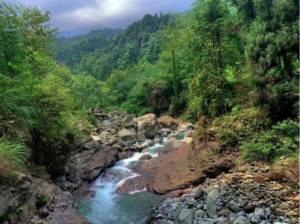 四川龙漕沟系“野生”打卡地