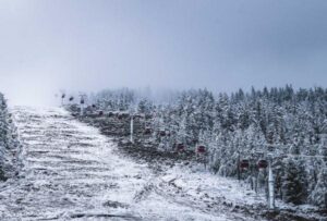 新疆阿勒泰下雪了