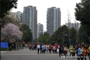 成都师范学院录取分数线是多少_成都师范学院录取分数线