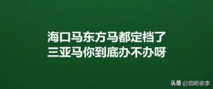 三亚现状：车流稀少 街上白马奔跑