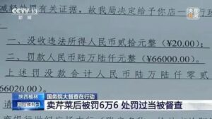 胡锡进谈媒体为5斤芹菜罚6.6万辩护