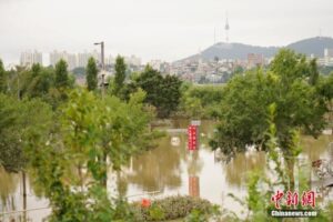 韩国暴雨已致11人死亡