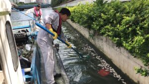 放生成杀生 上海苏州河频现死鱼