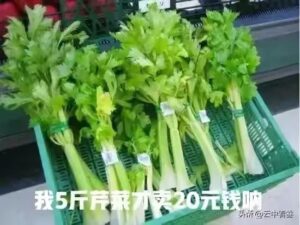 胡锡进谈媒体为5斤芹菜罚6.6万辩护