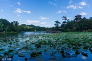 今夏4大热门旅游地遭疫情冲击