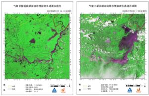 洞庭湖旱灾致大量鱼类被困死亡