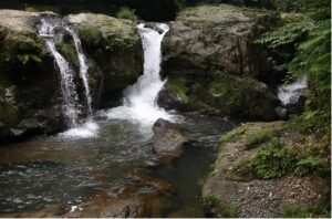 四川龙漕沟系“野生”打卡地