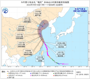 台风梅花登陆：狂风大作 暴雨横飞