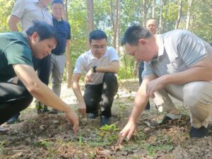 谢淘：扎实落实林长制河长制 牢牢守住生态安全底线