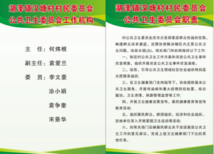 构建基层强大公共卫生体系    提升村居卫生健康治理能力