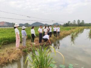 项目好不好，村里富不富？湖泽镇开展村级集体经济大比拼活动