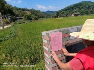 天干物燥，钤山镇这样筑牢森林防火“安全网”