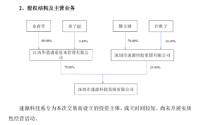 女孩超6亿拿下上市公司 身份成谜