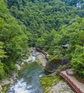 昨日西安一湖内惊现“鲤鱼跃龙门”