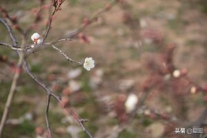 台风“梅花”逼近青岛：开车如划船