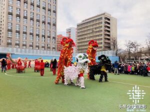 喜鹊飞进教室叼走女生耳机