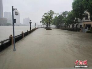 台风梅花登陆：狂风大作 暴雨横飞